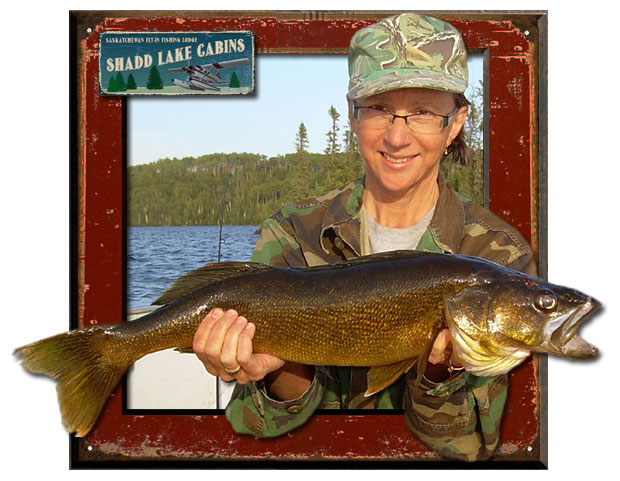 Walleye