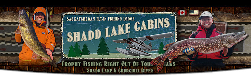 Tedford's Lakeside Lodge Canada Fishing Trip !! 